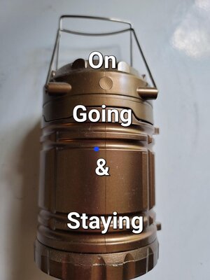 cover image of On Going & Staying